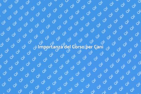 Corso di Addestramento per Cani