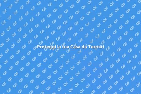 Trattamento Anti Termiti per Edifici