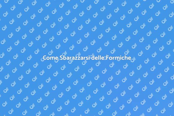 Liberati dalle Formiche Oggi Stesso