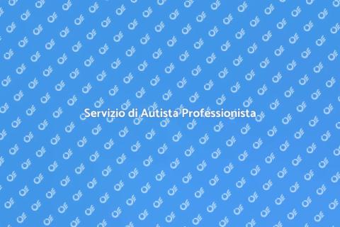 Assistenza con Autista Professionista