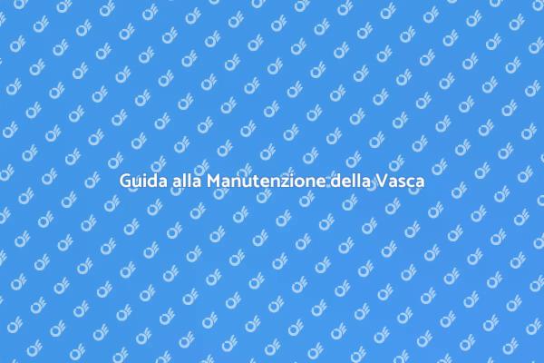 Manutenzione Essenziale per la Vasca