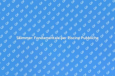 Manutenzione Skimmer per Piscine Pubbliche