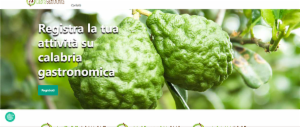 Webmt service - Foto 12