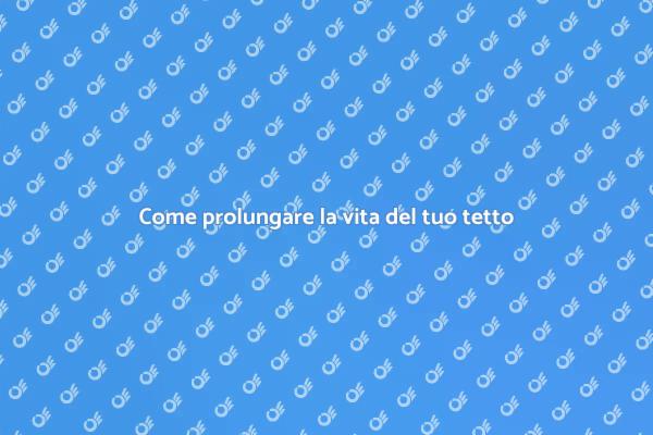 Prolungare la vita di un tetto in legno