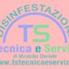 Ts Tecnica e Servizi 