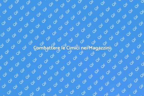 Disinfestazione Cimici in Magazzini