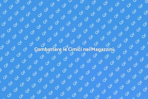 Disinfestazione Efficace di Cimici