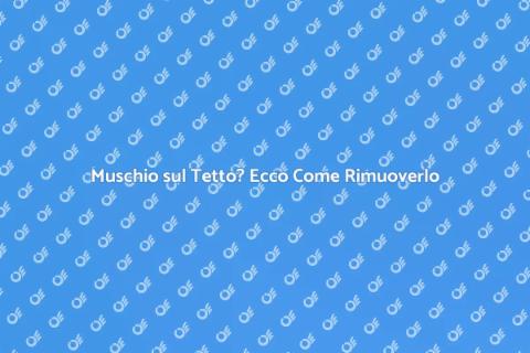 Rimozione Muschio Tetto: Guida Pratica