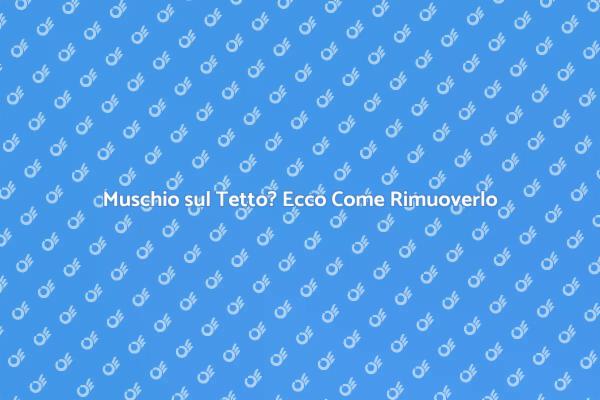 Mantieni il Tuo Tetto Libero dal Muschio