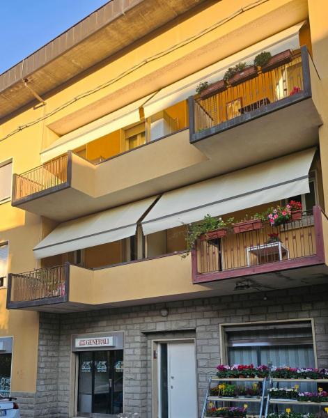 Buciuta E. - Foto 4