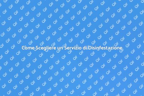 Servizio di Disinfestazione Efficace