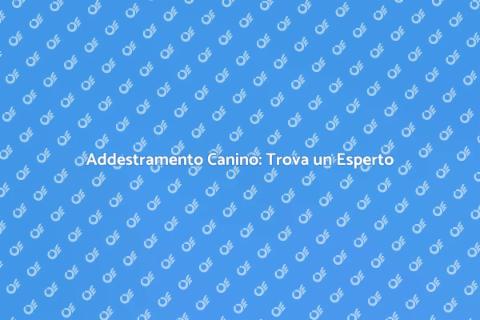 Educatore Cinofilo: Guida all'Addestramento