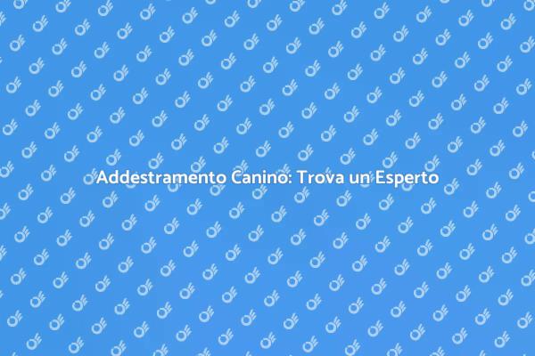 Come Scegliere un Educatore Cinofilo