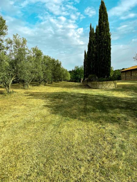 ARTE ET AGRICOLTURA DI ENRICO ARIO ROCCHI - Foto 2