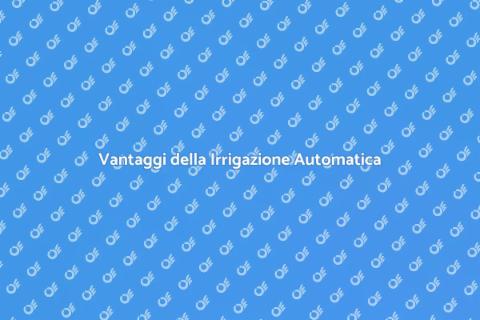 Sistema di Irrigazione Efficiente