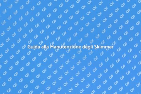 Manutenzione Skimmer Piscine Private