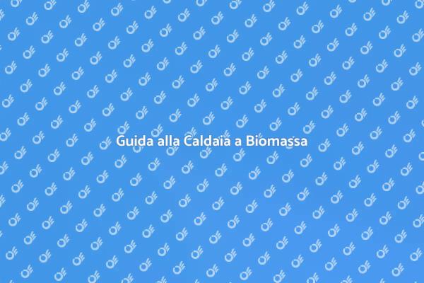 Riscaldamento Ecologico con Biomassa