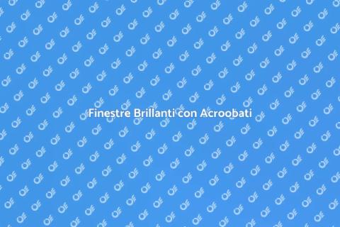 Pulizia Finestre con Acroobati