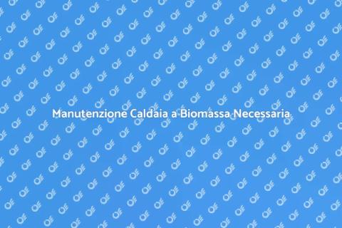 Assistenza Caldaia a Biomassa Essenziale