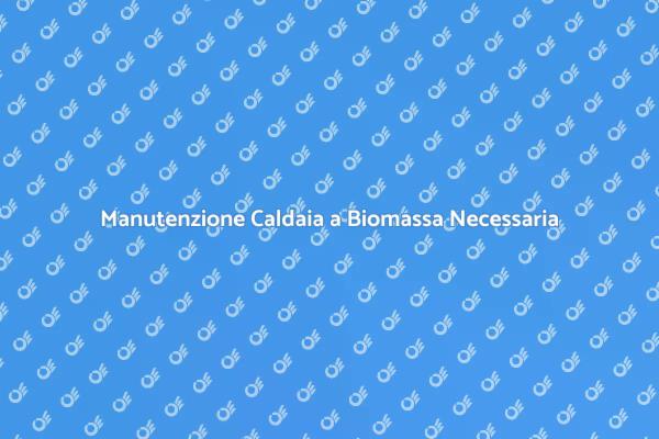 Assistenza Essenziale per Caldaie Biomassa