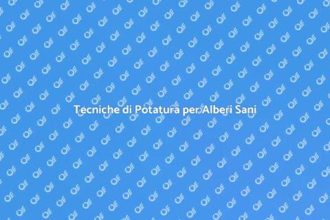 Potatura Alberi in Area Paesaggistica