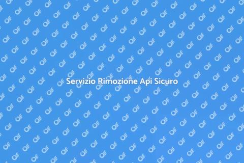 Rimozione Api per Sicurezza Casa