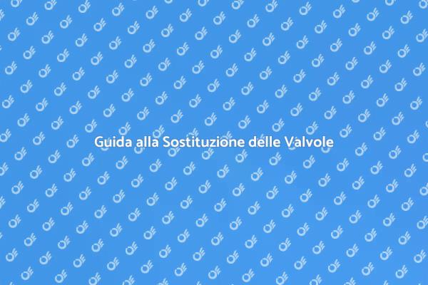 Sostituisci le Valvole del Radiatore Facile