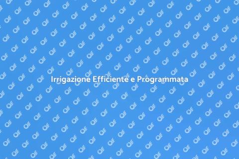 Sistema di Irrigazione Programmabile