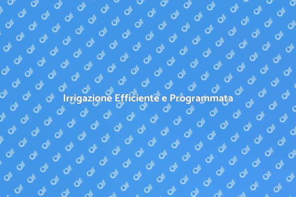 Innovazione nell'Irrigazione del Giardino