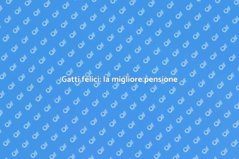 Pensione per gatti: benessere felino