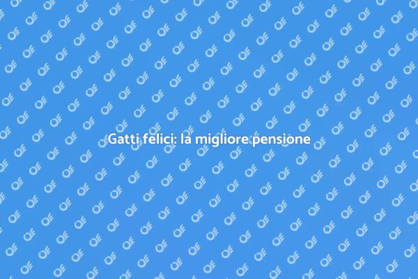 Scegli la pensione ideale per gatti