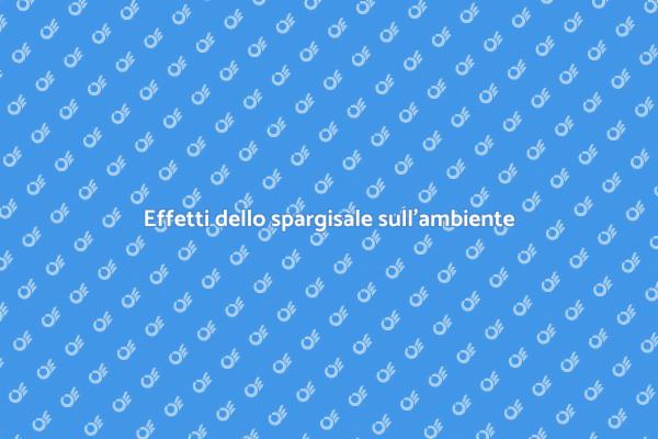 Spargisale e ambiente: un'analisi