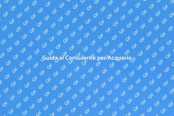 Consulente Acquario: Perché Sceglierlo?