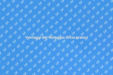 Noleggiare Escavatore Alta Portata