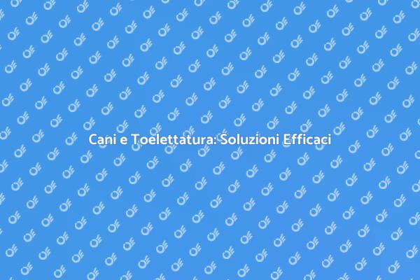 Toelettatura: Il Benessere del Tuo Cane