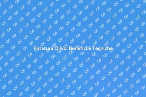 Potatura dell'Olivo: Guida Essenziale
