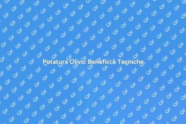 Potatura Olivo: Migliora la Qualità