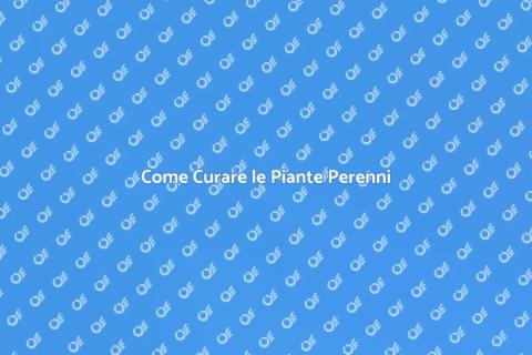 Manutenzione Piante Perenni Essenziale