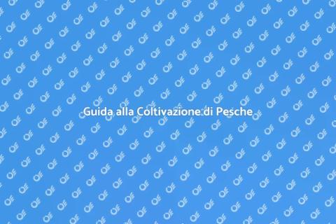 Allestire un Frutteto di Pesche
