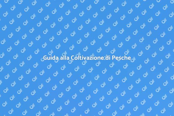 Crea il Tuo Frutteto di Pesche