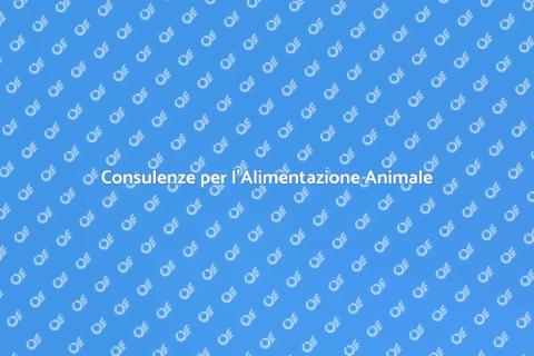 Alimentazione Sana per il Tuo Animale