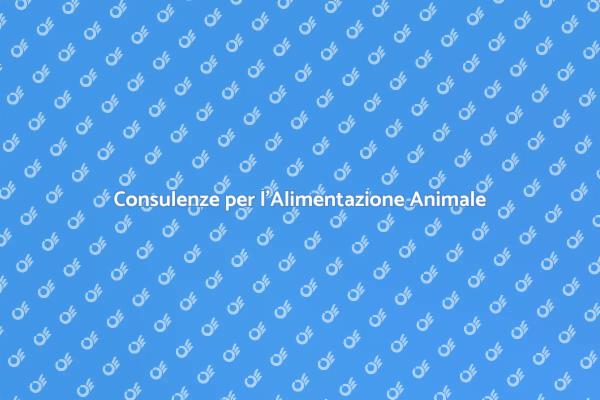 Nutrizione Sana per Animali Felici