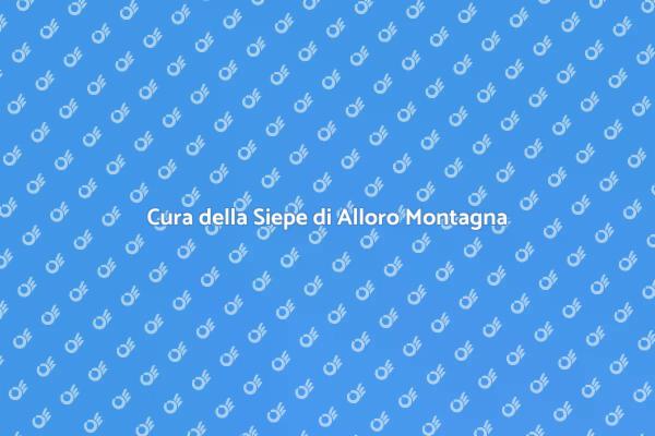 Come Mantenere una Siepe di Alloro