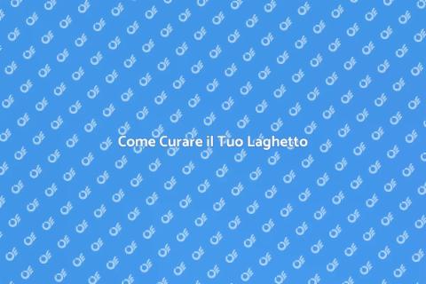 Manutenzione Laghetto da Giardino