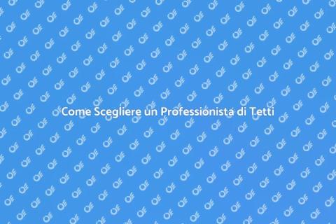 Professionista di Tetti: Guida Completa