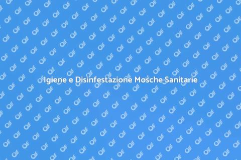 Disinfestazione Mosche Struttura Sanitaria