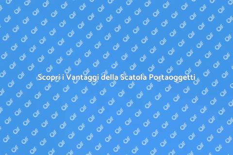 Scatola Portaoggetti: Ordine e Stile