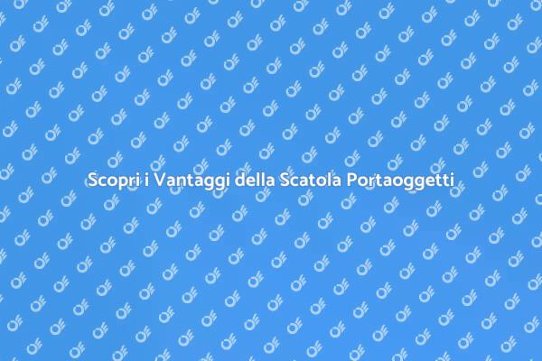 La Scatola Portaoggetti che Cambia Tutto