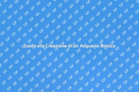 Consulenza per Acquario Nano Biotico