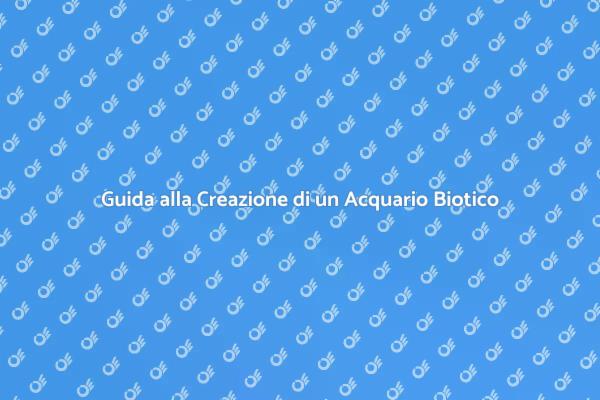 Realizza il Tuo Acquario Nano Biotico